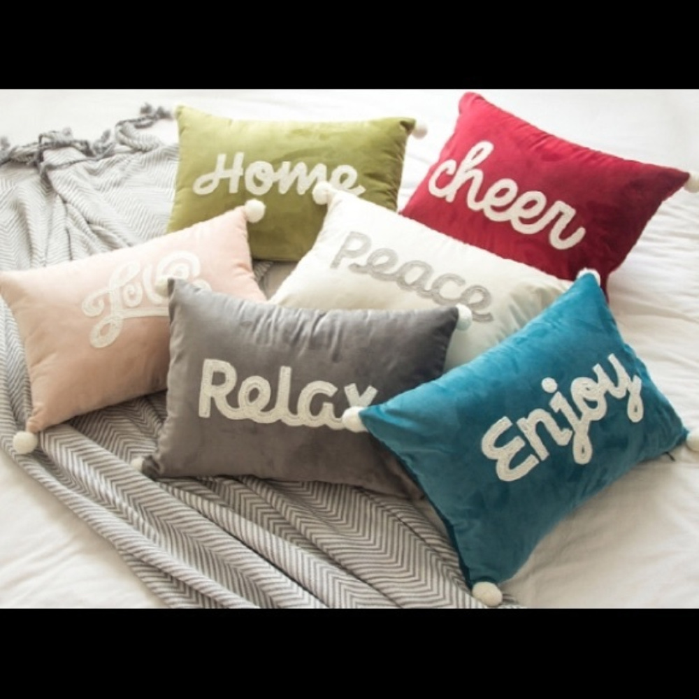 VelvetSoft NWOT Cushion Cover 1 pc